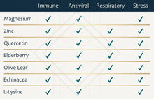 Immune and Respiratory Support - Zinc, Quercetin, Magnesium Glycinate/Taurate, Elderberry, Echinacea, Olive Leaf Extract, Cystein, Leucine, Lysine, Melatonin